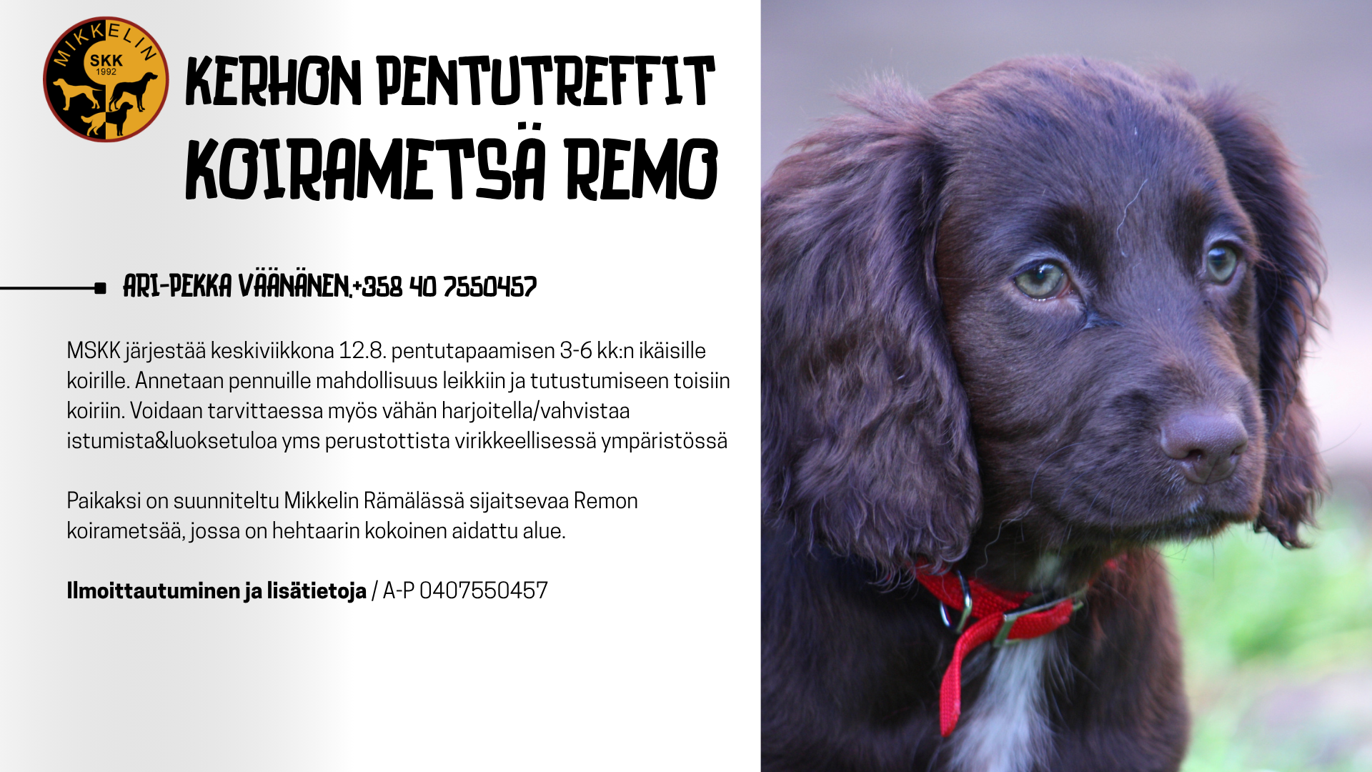 pentutreffituusi